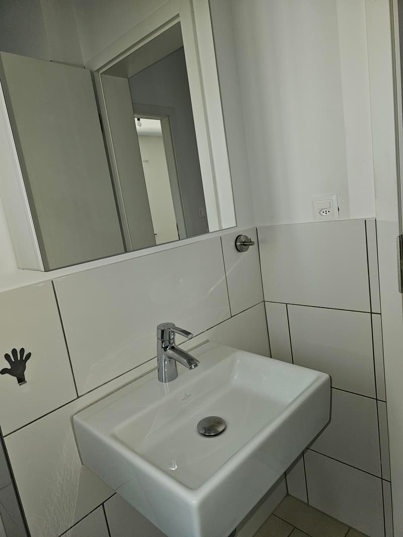 Limité jusqu'au 30.09.2027 – Appartement spacieux 2.5 pièces avec place assise dans le jardin à Herrliberg (14)