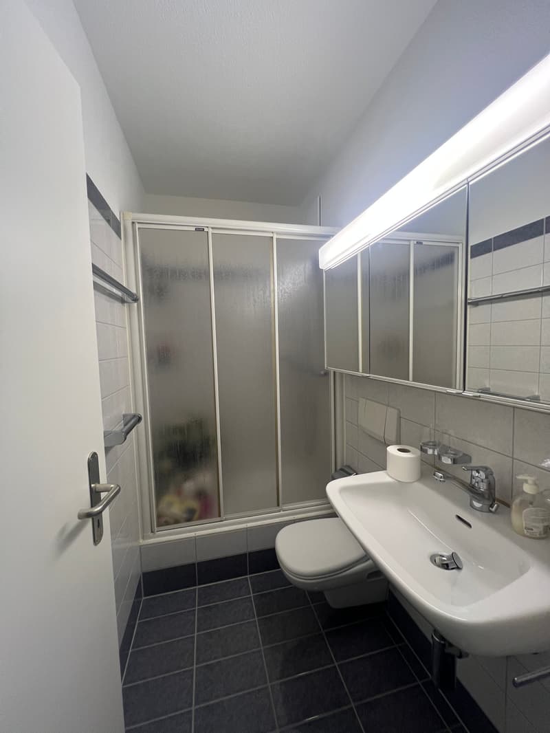 3.5-Zimmer-Wohnung im Eigentumsstandard mit Garten (9)