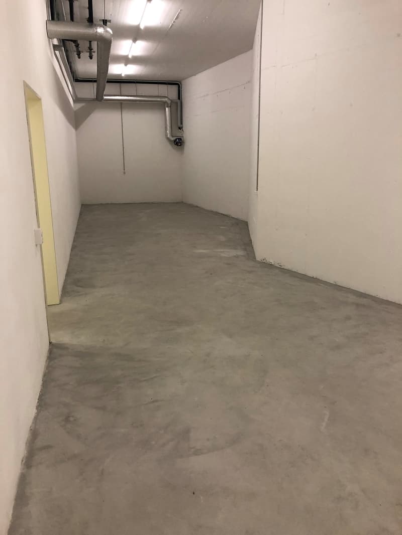 Lager in Bonstetten zu vermieten (3)