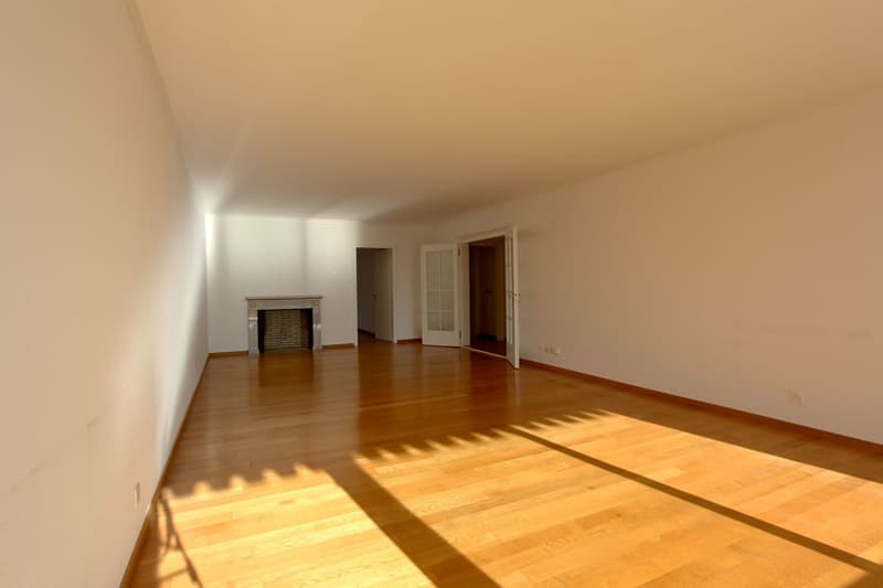 Grosszügige 5.5-Zimmer-Wohnung mit Panoramablick (5)