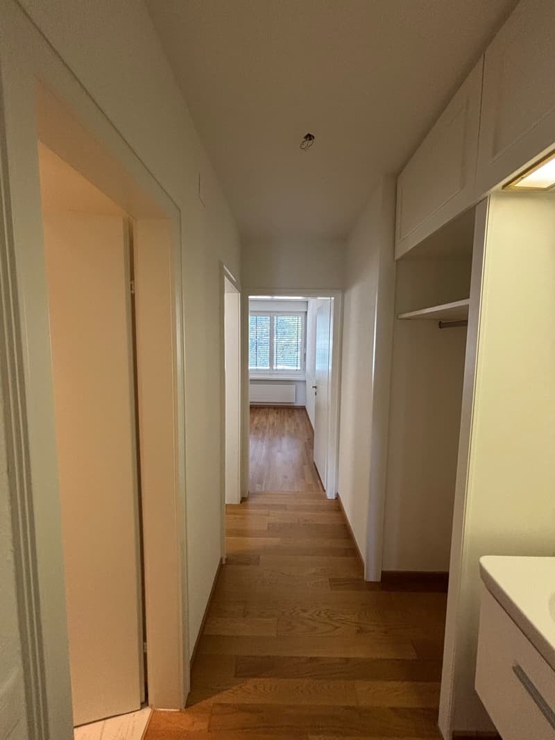 Grosszügige 5.5-Zimmer-Wohnung mit Panoramablick (10)