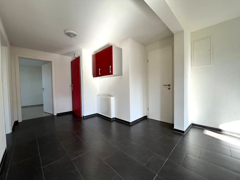 Appartamento luminoso 3.5 locali a Schönenberg an der Thur (8)