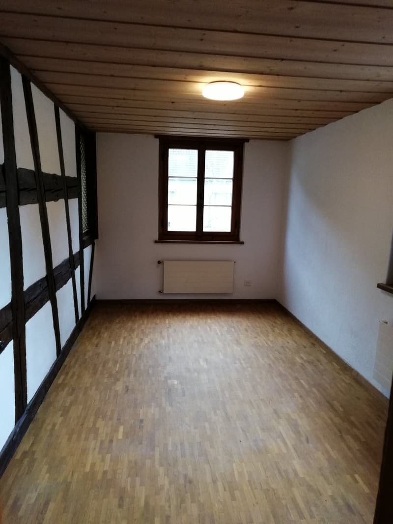Appartement 3,5 pièces – chaleureux & charmant (4)