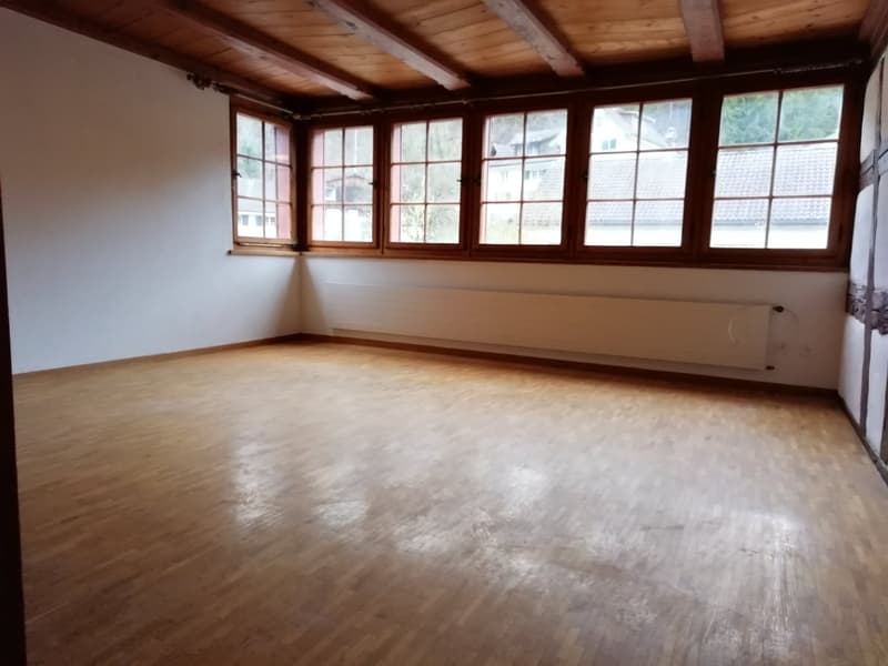 Appartement 3,5 pièces – chaleureux & charmant (2)