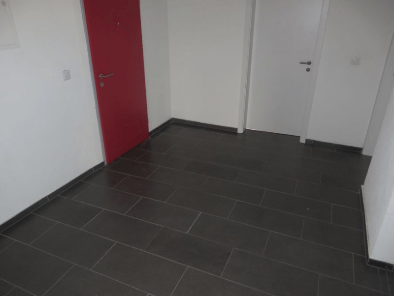 2.5-Room Apartment in Romanshorn - Lake Proximity (4)