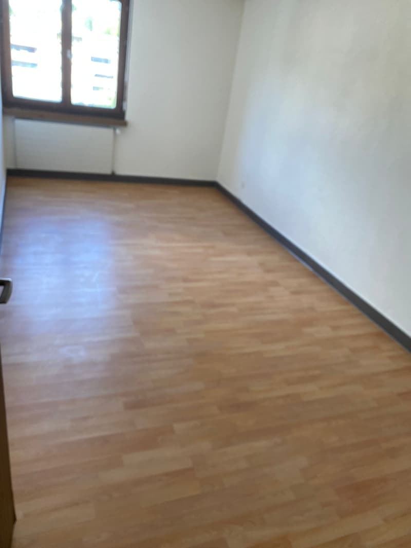 Gemütliche 2.5-Zimmer-Wohnung mit Balkon in Ebnat-Kappel! (2)
