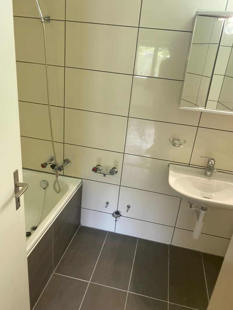 Gemütliche 2.5-Zimmer-Wohnung mit Balkon in Ebnat-Kappel! (9)
