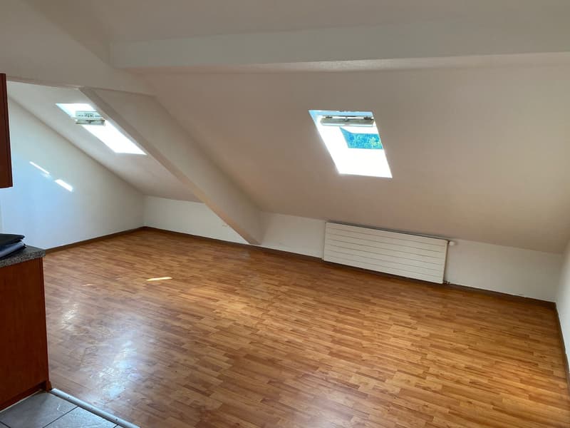 2.5-Zimmer-Dachwohnung im 3. Stock – per sofort verfügbar (5)