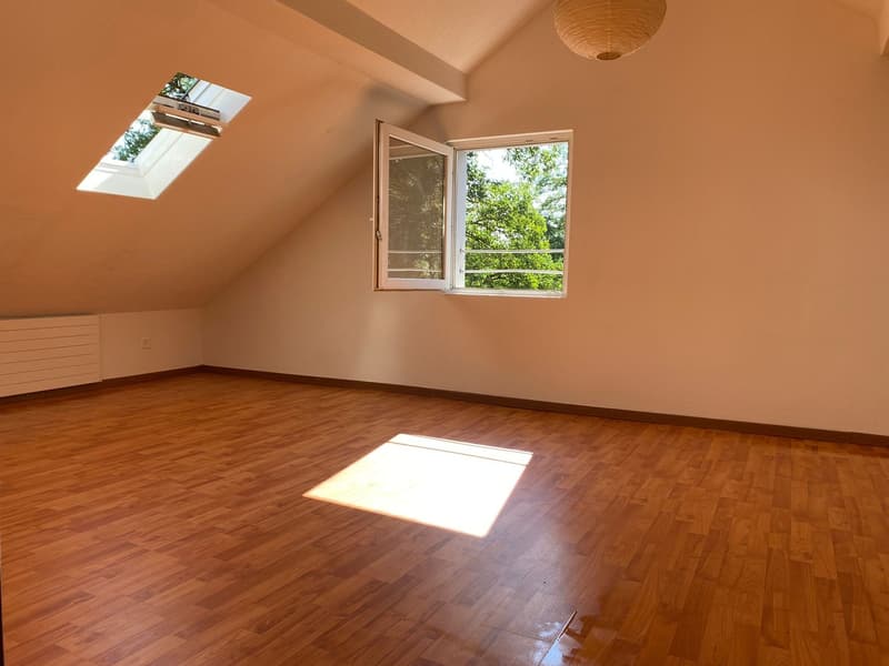 2.5-Zimmer-Dachwohnung im 3. Stock – per sofort verfügbar (2)