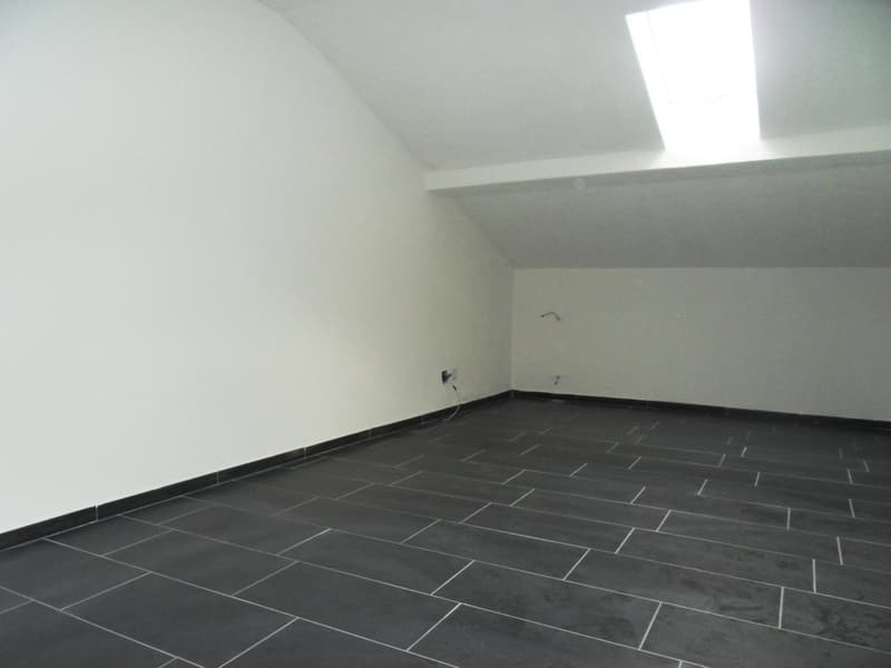 Bright and spacious 2.5-room apartment (3)