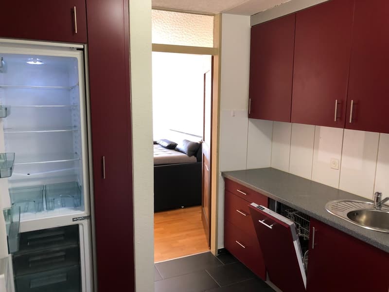 Charming 1.0-room apartment with balcony and mountain view in Ebnat-Kappel (2)