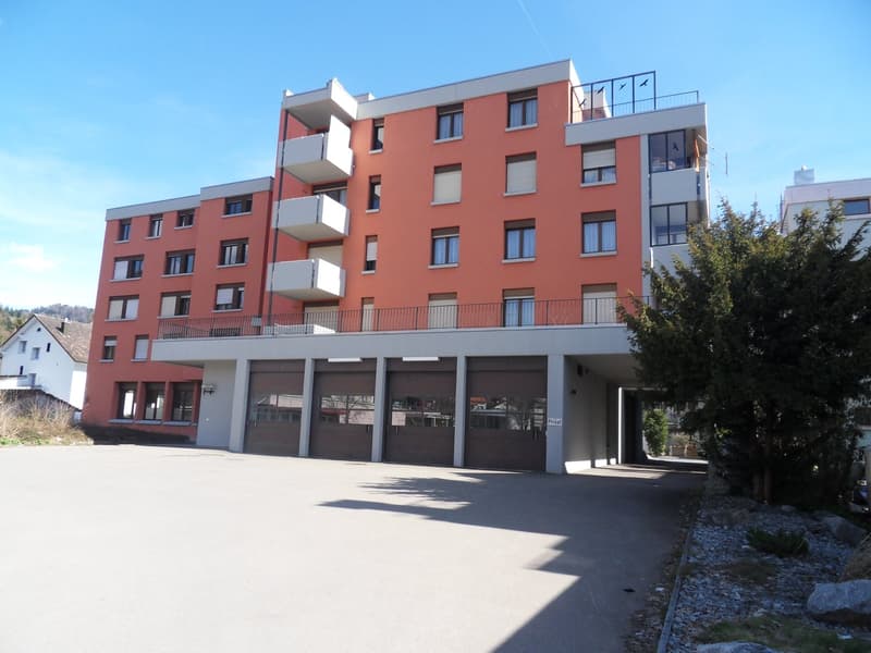 Charming 1.0-room apartment with balcony and mountain view in Ebnat-Kappel (1)