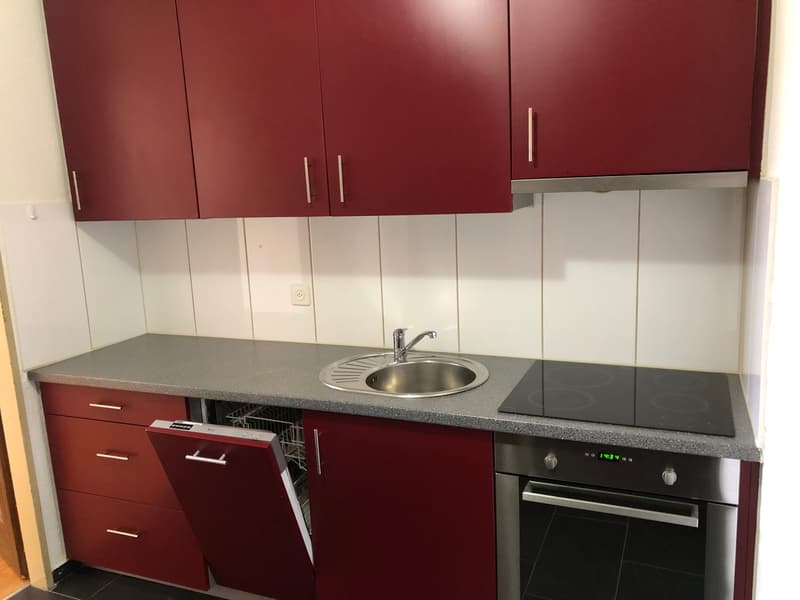 Charming 1.0-room apartment with balcony and mountain view in Ebnat-Kappel (3)