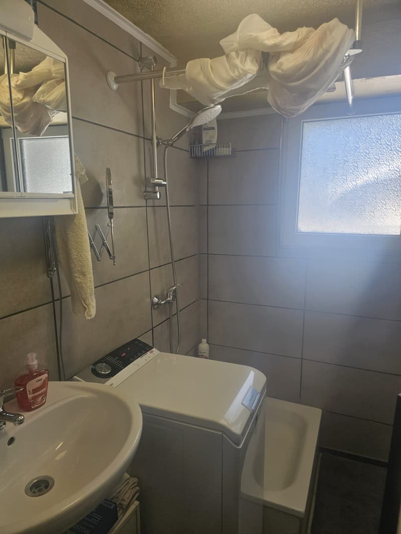 Appartamento accogliente di 1,5 locali con cucina e bagno (9)