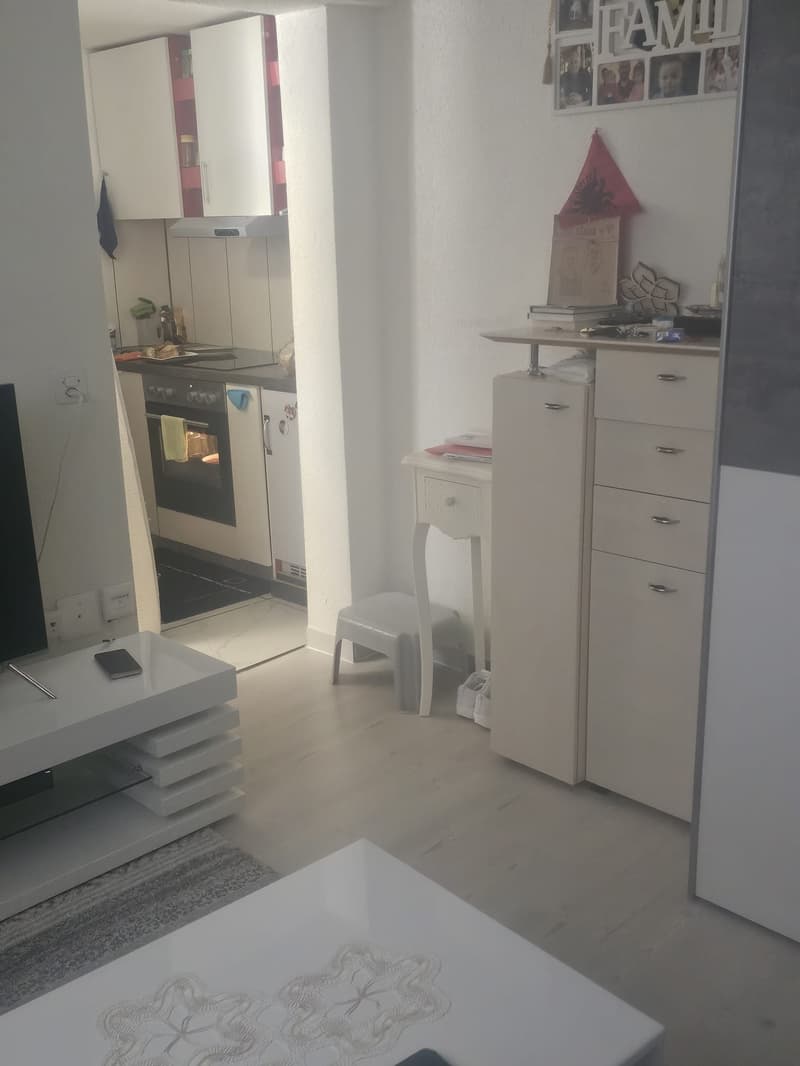 Appartamento accogliente di 1,5 locali con cucina e bagno (6)
