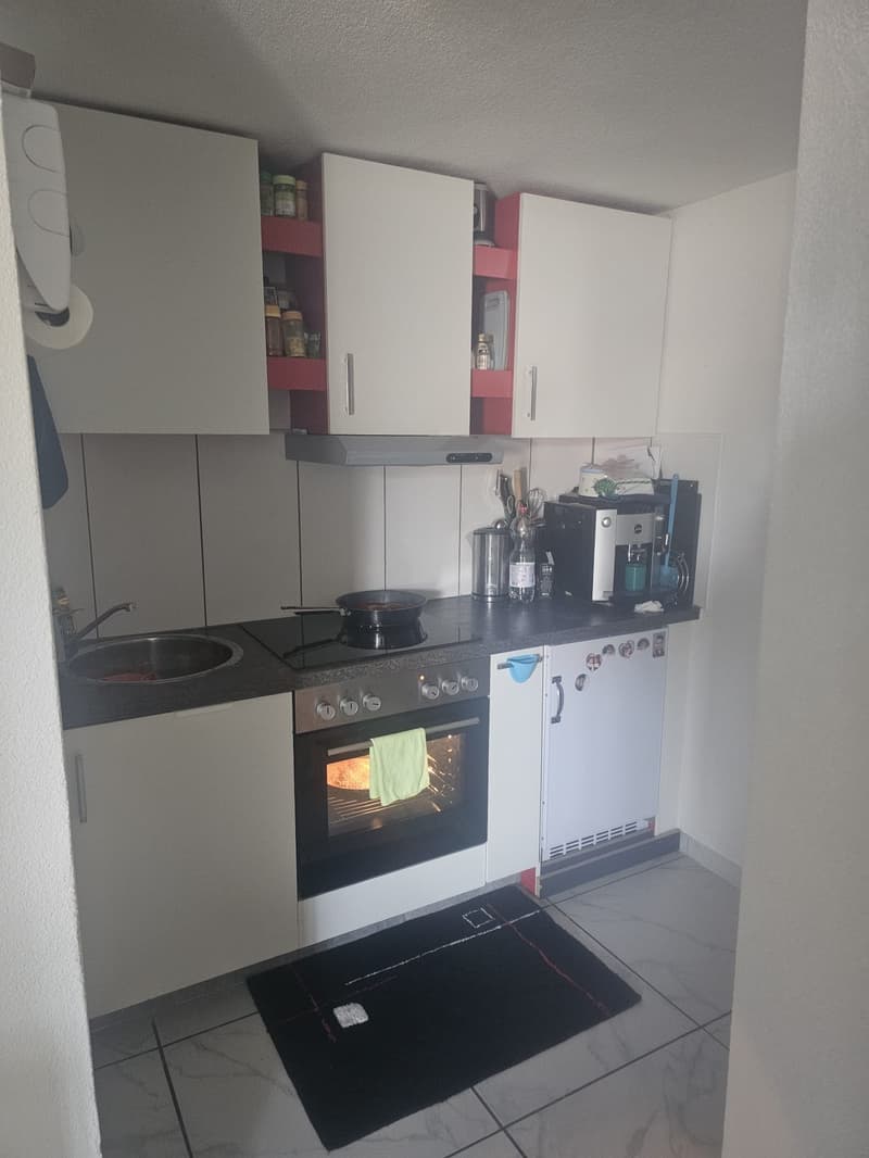 Appartamento accogliente di 1,5 locali con cucina e bagno (2)