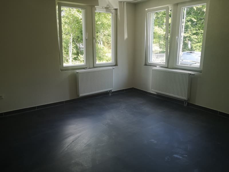 1.5-Zimmer-Wohnung - hell & ruhig in Erlen (2)