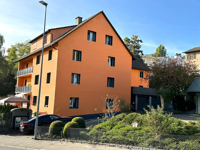 Garage for rent in Schaffhausen (1)