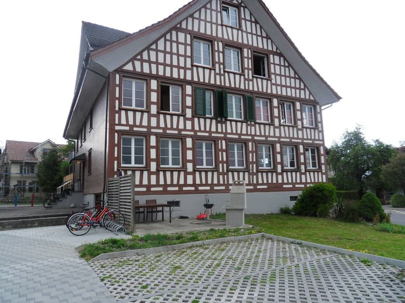 Gemütliche 1.0-Zimmer-Wohnung im Erdgeschoss in Zihlschlacht (1)