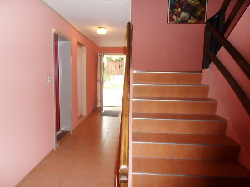 Gemütliche 1.0-Zimmer-Wohnung im Erdgeschoss in Zihlschlacht (8)