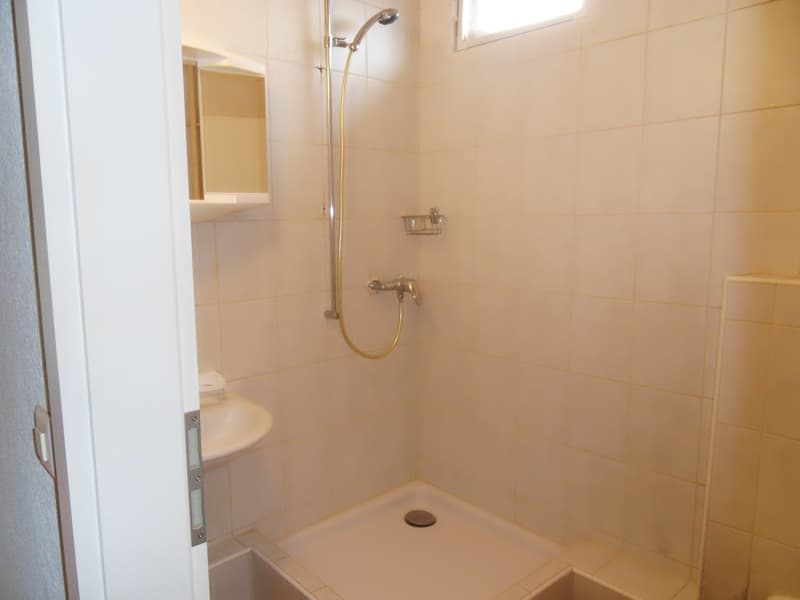 Gemütliche 1.0-Zimmer-Wohnung im Erdgeschoss in Zihlschlacht (6)