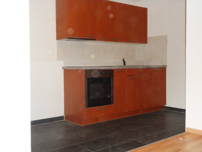 Gemütliche 1.0-Zimmer-Wohnung im Erdgeschoss in Zihlschlacht (3)
