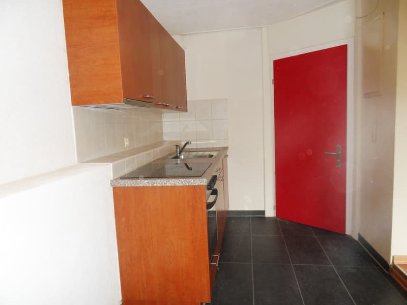 Gemütliche 1.0-Zimmer-Wohnung im Erdgeschoss in Zihlschlacht (4)