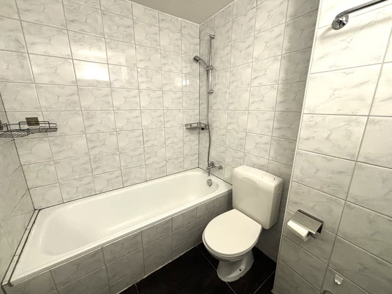 Helle 4.5-Zimmer-Erdgeschosswohnung in Romanshorn – Nähe Bodensee (7)
