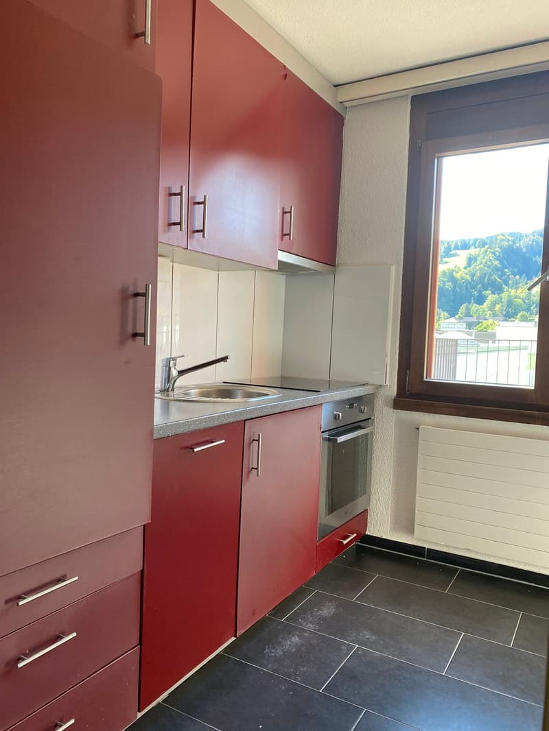 Helle und gemütliche 2.5-Zimmer-Wohnung mit einladender Terrasse (6)
