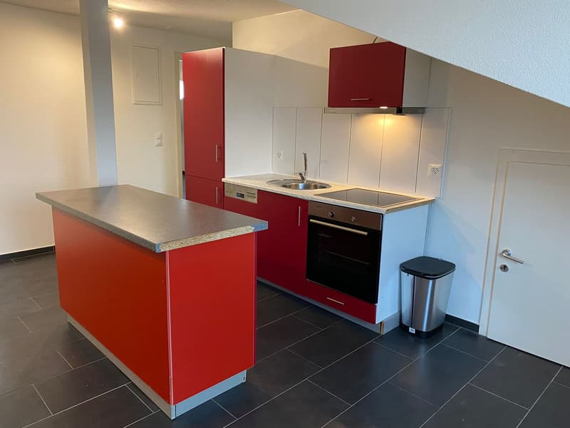 Moderne 3-Zimmer-Dachwohnung in ruhiger Lage von Matzingen (2)