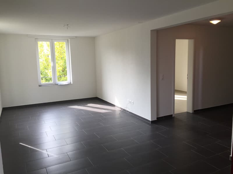 Charmante 4.5-Zimmer-Wohnung mit Balkon in Kradolf-Schönenberg (4)