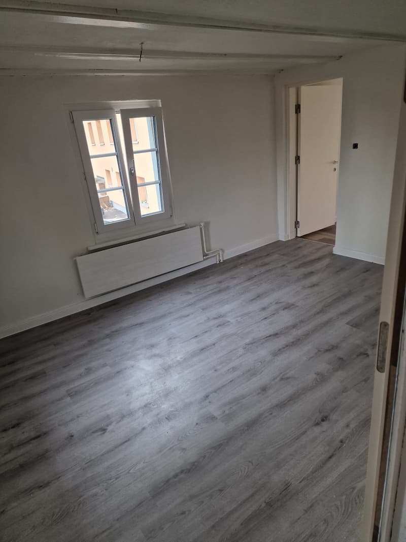 Charmante 4.0-Zimmer-Wohnung im 1. OG in Romanshorn – sofort verfügbar! (3)