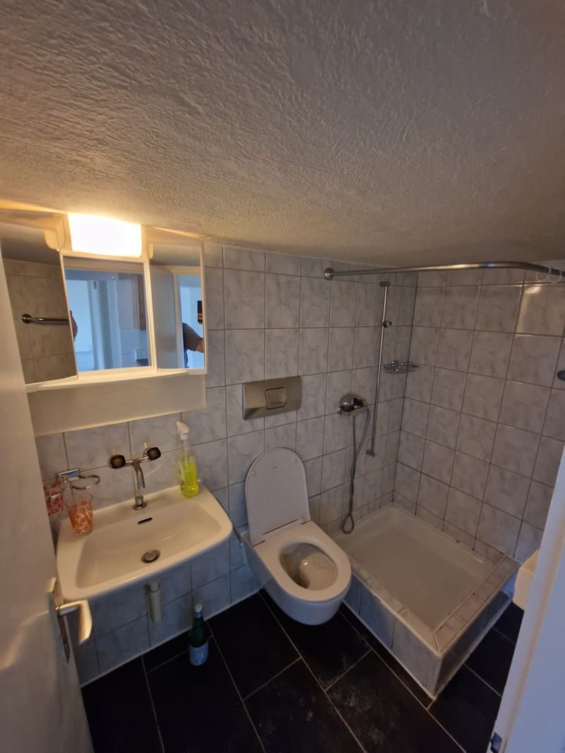 Charmante 4.0-Zimmer-Wohnung im 1. OG in Romanshorn – sofort verfügbar! (10)