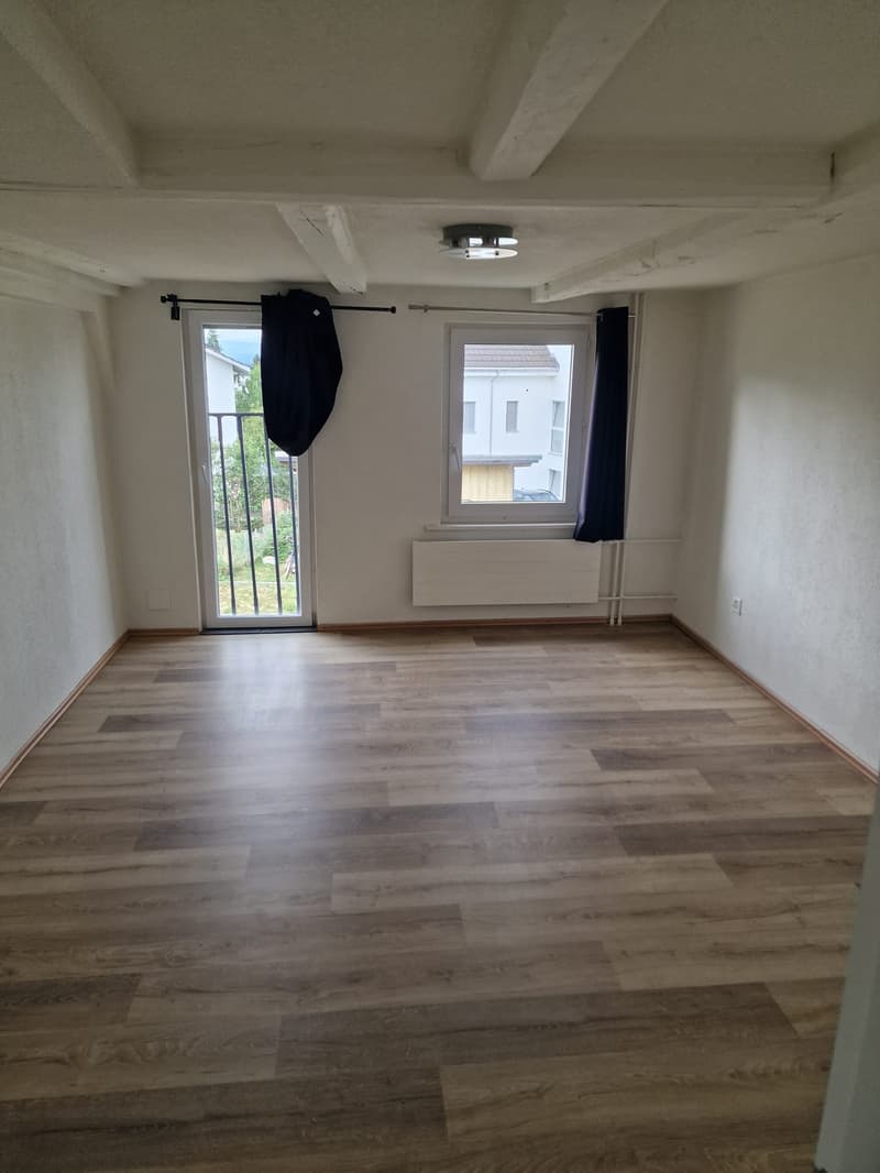 Charmante 4.0-Zimmer-Wohnung im 1. OG in Romanshorn – sofort verfügbar! (5)