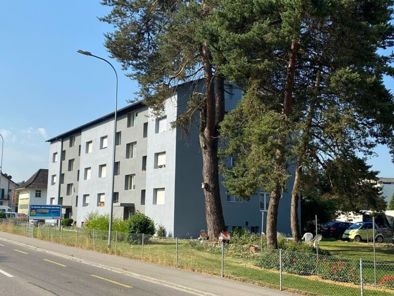 Helle und Gemütliche 3-Zimmer-Wohnung (8)