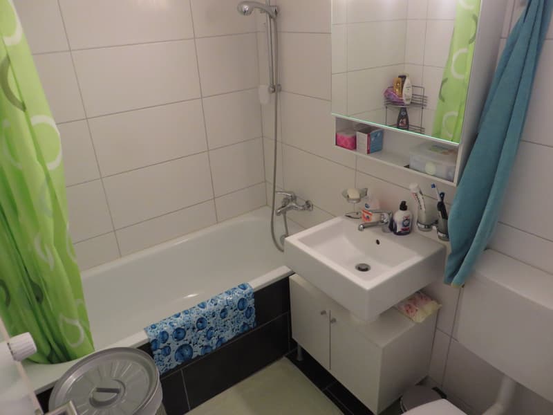 Helle und Gemütliche 3-Zimmer-Wohnung (5)
