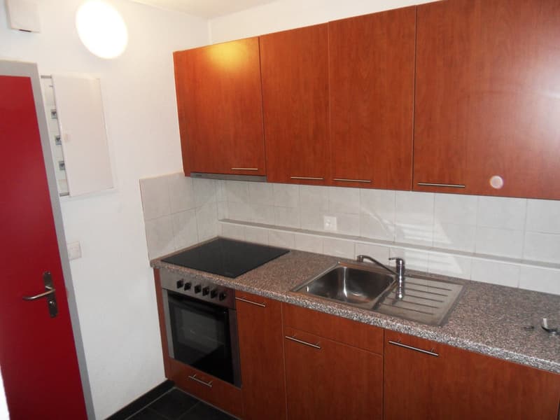 Gemütliches 1-Zimmer-Apartment im charmanten Altbau in Zihlschlacht (4)