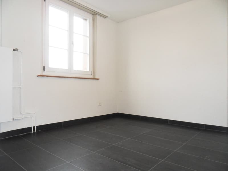 Gemütliches 1-Zimmer-Apartment im charmanten Altbau in Zihlschlacht (2)