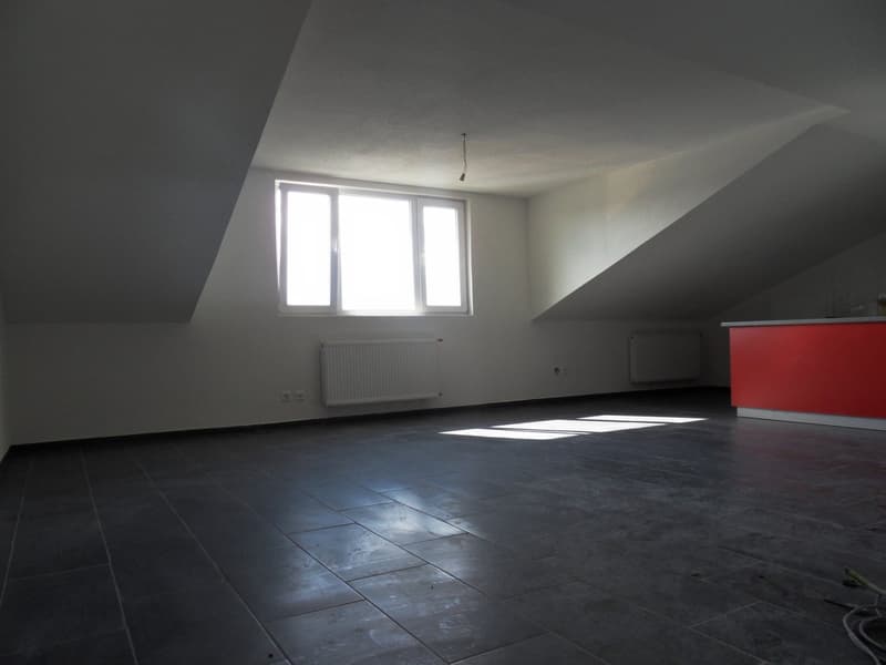 Charmante 3.5-Zimmer-Dachwohnung in Matzingen zu vermieten (3)