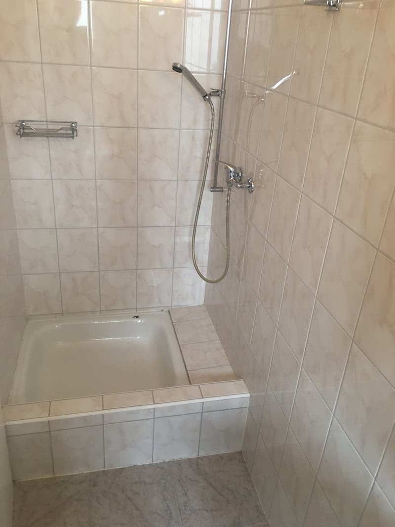 Gemütliche 1-Zimmer-Wohnung im 2. OG in Romanshorn (9)