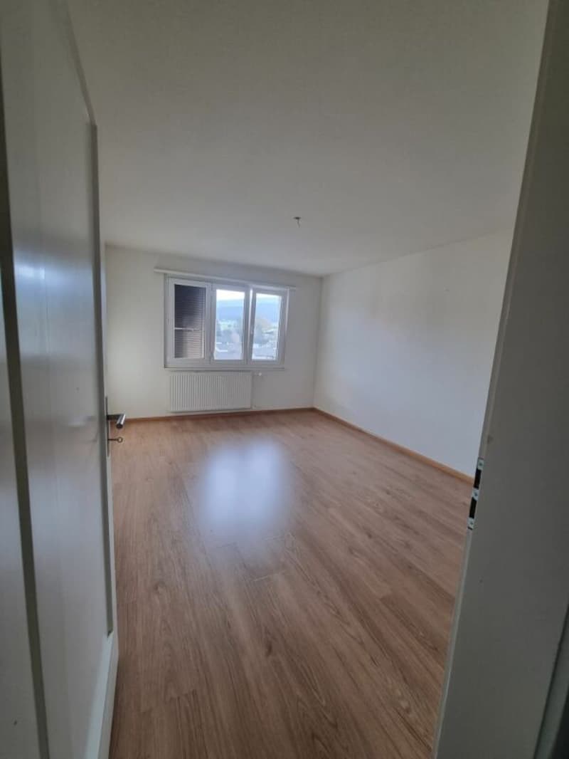 pleasant 3.5-room apartment (3)