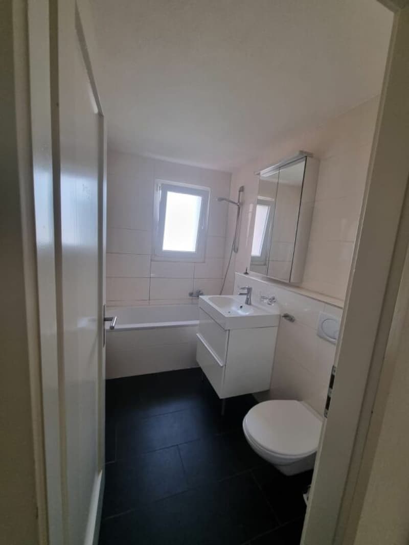 pleasant 3.5-room apartment (5)