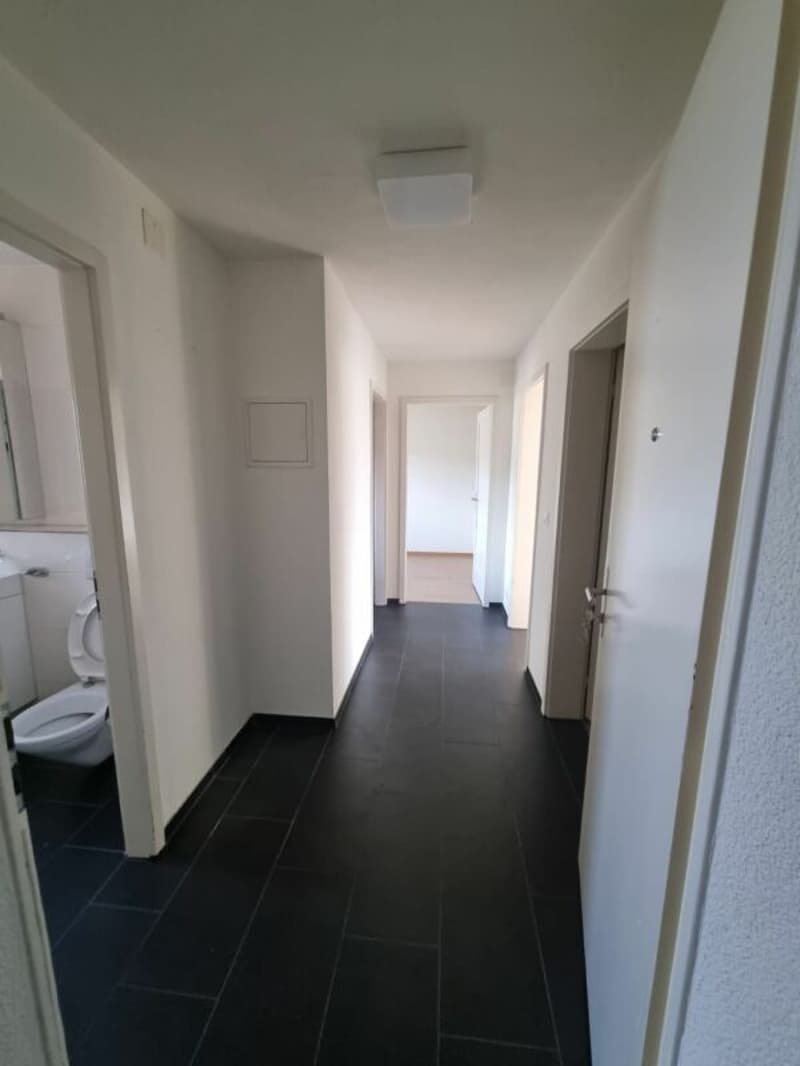 pleasant 3.5-room apartment (2)