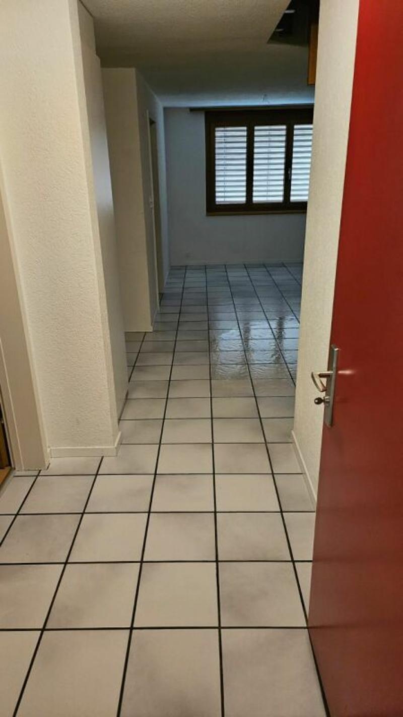 Appartamento mansardato attraente e spazioso di 5,5 locali (7)