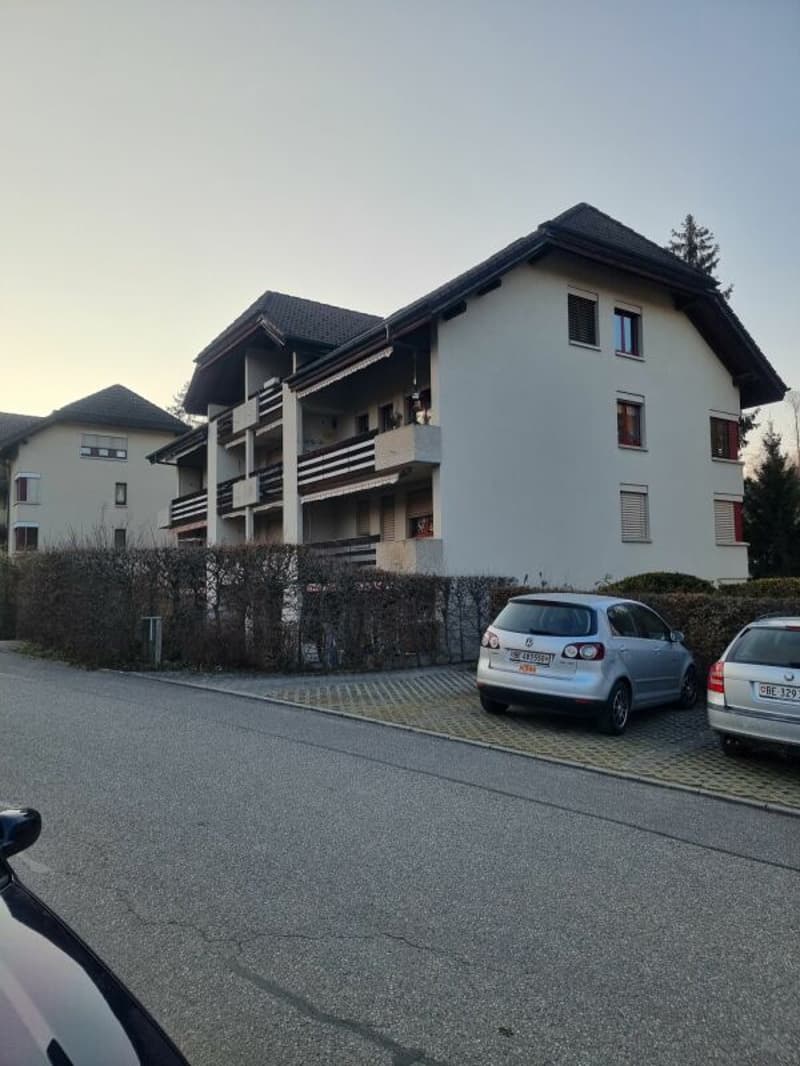 Appartamento mansardato attraente e spazioso di 5,5 locali (2)