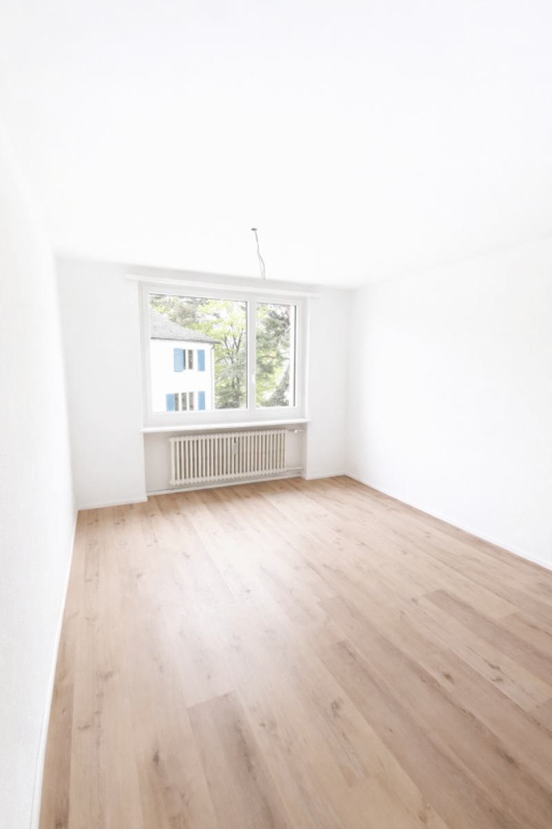 2.5 rooms, first occupancy after total renovation (3)