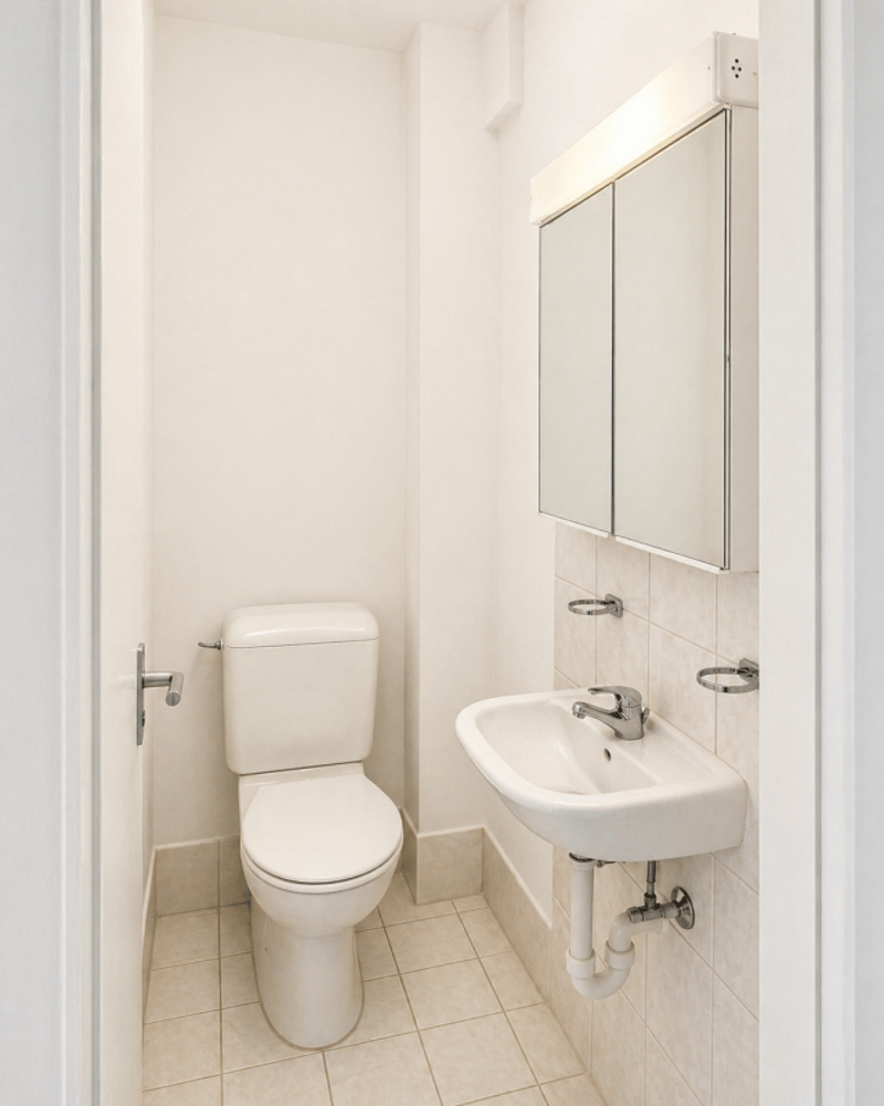 Renovated 4-room apartment (7)