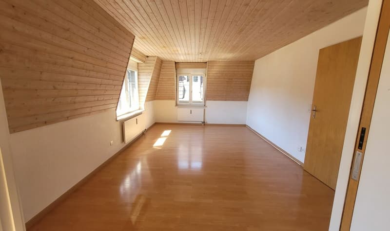 Appartamento mansardato luminoso e bello di 4,5 locali (3)