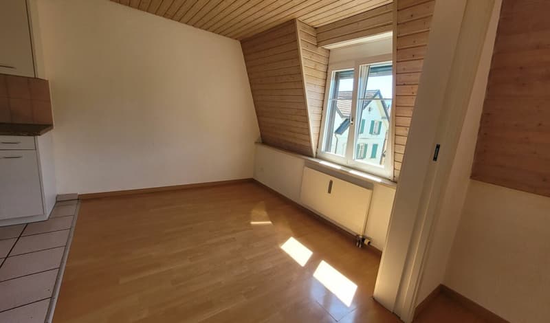 Appartamento mansardato luminoso e bello di 4,5 locali (2)