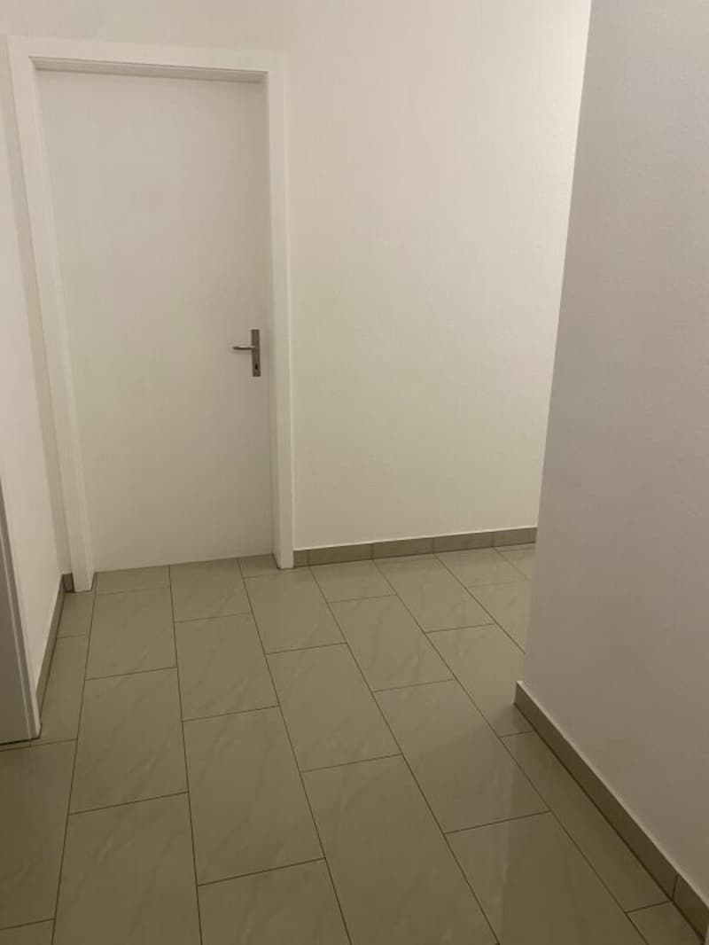 Large 4-room apartment (3)
